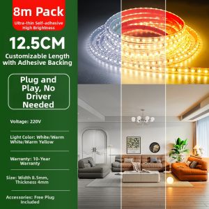 SHUOYU | RGB Adjustable Waterproof LED Strip 220V