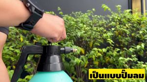 TAKA กระบอกพ่นยา 1.5 / 2 / 3 ลิตร Foggy กระบอกฉีดน้ำ กระบอกฉีดน้ำแรงดัน กระบอกรดน้ำ ฟ๊อกกี้ ถังพ่น ถังสเปรย์ ถังรดน้ำ รดน้ำ ฉีดน้ำ ประกัน 7 วัน สวดยวด
