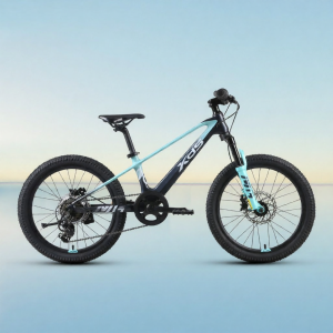 XDS | Childrens Youth Boys and Girls Mountain Bike