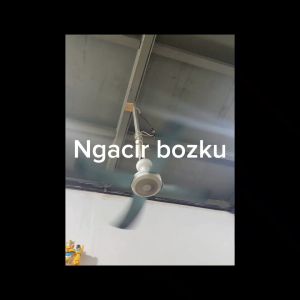 Kipas Angin Gantung Mini Fan 4 dan 5 baling 12 dan 25 Watt Teckyo GMC