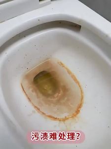 PISSA | Powerful Deodorizing Stain Remover Cleaner Toilet Cleaner