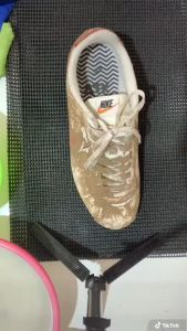 Sikat Pembersih Insole Bagian Dalam Sepatu Untuk Semua Sepatu Taetaa Company