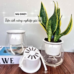 Chậu cây tự tưới COMBO 2 CHẬU Chậu nhựa thủy sinhbình thủy sinhchậu nhựa trồng câybình thủy canh các loại kt 11x13