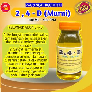 ZPT 24D kelompok hormon auxin berfungsi untuk pengisian umbi sehingga menjadi lebih besar dari biasanya