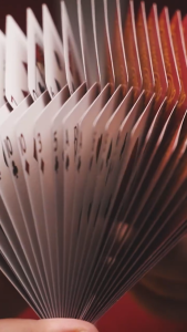 Bicycle Snake Playing Cards Chinese New Year 2025