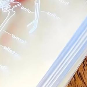 ไพ่เล่นแบบใสรูปทรงกายวิภาคมนุษย์ ใช้ซ้ำได้ หลายแบบ ใช้สำหรับสะสม ศึกษา และเล่นเกมแบบอินเทอร์แอคทีฟ