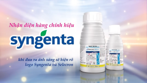 ( Syngenta ) SELECRON 500EC (100ML) - THUỐC TRỪ SÂU - Hàng Hiệu Chính Hãng