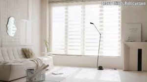 Zebra Blinds Roll curtain Louver curtains blackout curtains Bathroom curtains Office shading curtain
