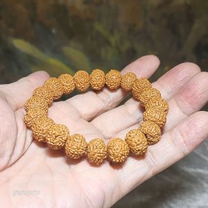 Premium 13mm natural "Panlong" (Coiling Dragon) 9 Mukhi (faces) small species Rudraksha bracelet