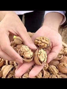 ถั่ววอลนัทเปลือกบางทานอร่อย เปิดโดยการบีบ เปิดด้วยการหยิกเพียงครั้งเดียวกรัมราคา核桃วอลนัท