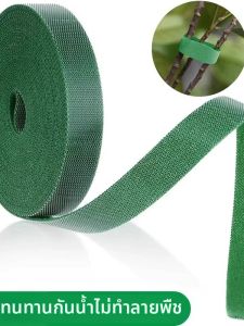 Loolecondera | Băng Dính Hai Mặt Hỗ Trợ Cây