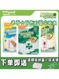 Natural Science Experiment Toy Turtle Butterfly Genuine Insect Resin Sample Marine Animal Insect Block Children Plaything FK35