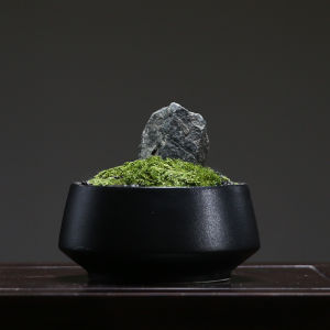 Modern Minimalist Bonsai Tray Creative Desktop Decoration Luxury Living Room Tea Table Simulation Potted Landscape Ornament