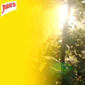 JADIED MASELA Penurun Asam Lambung Obat Maag Herbal Madu Lambung 150gram