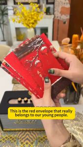 The Forbidden City Early Snow 2025 High-end Creative Wedding Palace Chinese New Year Spring Festival Red Packet Thickened Press Birthday New Universal