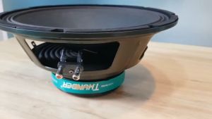 01 Cặp - LOA SUPER BASS WMB 30-52 (Mega Bass Speaker 12")