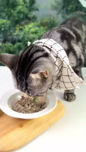 Máy Làm Pate Cho Chó Mèo Máy Nấu Đồ Ăn Thịt Sấy Cho Chó Mèo Fassner PRO tự động - HeLiPet