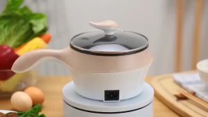 Stainless Steel Grade Multi Cooker With Steamer & 2 in 1 Electric Frying Pan pot