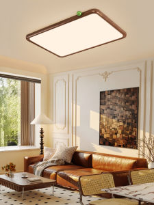 NVC | Eye Protecting Full Spectrum Ceiling Light