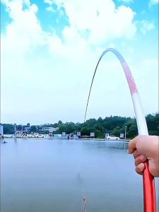 Phụ Kiện Chân Cắm Phao Săn Hàng - PKCCP006