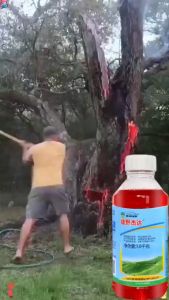 One drop can kill a century-old tree Racun pokok kayu besar 1000g Racun rumput paling kuat cepat mati kill big trees weeds bamboo Racun rumput 100 times stronger than sulfuric acid Weed killer 除草剂