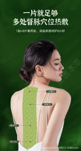 WE 4102 = 龙骨督脉炙贴 Dragon Bone and Governing Vessel Moxibustion Patch ☞ 5 patches/box