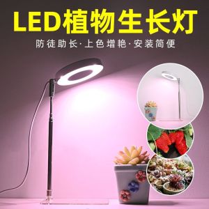 Angel Ring USB Succulent Fill Light Anti-Apprentice Light Timing Color Full Spectrum Led Florals Bonsai Plant Light Growth