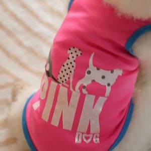 (HCM) Áo Cho Chó Mèo Áo 3 Lỗ Sát Nách Mát Mẻ Họa Tiết Dễ Thương