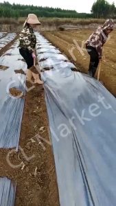 Silver Black Dual Color Plastic Mulch: Heavy Duty & Biodegradable