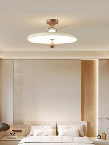 Aiskdan | Modern Simple French Vintage Warm Ceiling Light