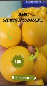 Lemon California 1 KG jeruk lemon cocok untuk penangkal virus dan menjaga kesehatan tubuh