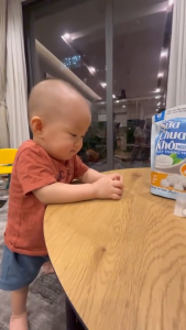 Sữa Chua Sấy Thăng Hoa MycoSpring Vị Dâu Sữa Chua Khô Hỗ Trợ Tiêu Hóa Tăng Sức Đề Kháng - 20g 40g