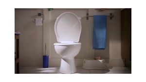 Lysol Toilet Bowl Cleaner 700ml