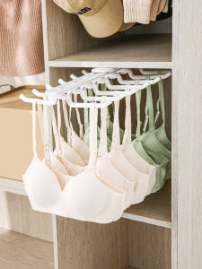 Intimates Slide Rail Rack Wardrobe Pull-out Rack Multi-Hook Spaghetti Strap Bra Storage Rack Handy Gadget Hat Organizing Shelves