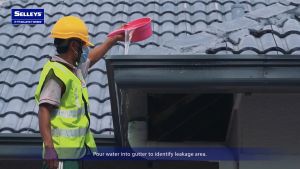 Selleys Blockade Co-Polymer Roofing & Gutter Silicone Sealant - Grey 犀利牌封隔屋顶与排水沟密封剂 - 灰色 (360g)