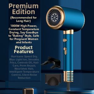 High Power Quick Drying Ionic Quiet Electric Hair Dryer