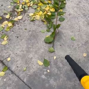 Máy thổi bụi cầm tay cắm điện-  Hút Thổi 2 chiều