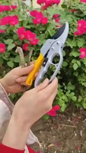 High Quality Pruning Shear Plant Branches Trimmer Cutter Scissors Pruner Gardening Tools Branch Building