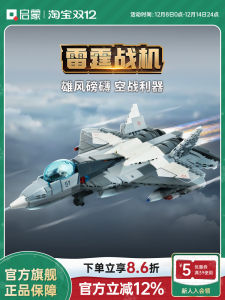 Military Thunderbolt Fighter Model Kit Educational Building Blocks Assembly Toy Gift for Boys Age 6-14 China Manufacturer