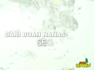 Suur Lemoen - Premium Cuka Nanas Organik 500ML - Rendah Gula Multi-Pak untuk Diabetes & Kesehatan - BY Agent Suur