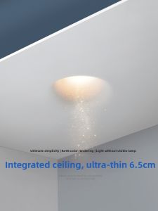 Dengfu | Slim Integrated Ceiling Light Smart Home Compatible  No Frame Recessed Spotlight