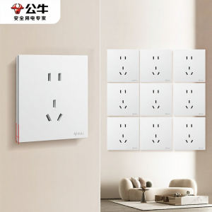 Bull | Ultra-thin 5-outlet 16A Matt Panel