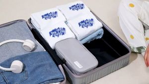 Large-capacity Double-layer Underwear Storage Bag Travel Bra Storage Bag Portable Business Trip Underwear Socks Storage