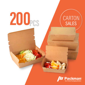 (Carton) Kraft Lunch Boxes – Eco Lunchbox Takeaway Local Singapore Stock Bulk Packaging