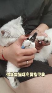 1Set Gunting Kuku Kucing Anjing Hewan Peliharaan Perawatan Kuku