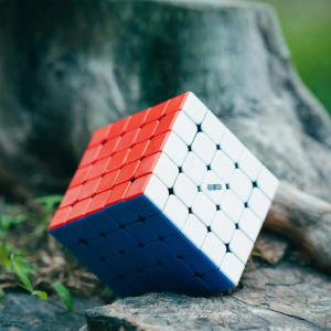 Diansheng | Competition Racing Speed Magnetic Cube