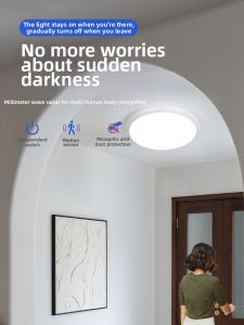 LAISILIMANWEI | Motion Sensing Delay Switch Smart Dustproof Mosquito Repellent Ceiling Light