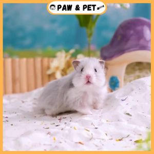Hamster Natural Desert Sand Flower Scent Pasir Hamster Toilet Litter Bath Sand Grooming Care Chinchilla Guinea Pig
