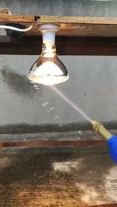 Waterproof Anti-Explosion Infrared Heat Lamp 200w Piglet Chicken Brood Bulbs Dusk Bird ilawan ng init Light