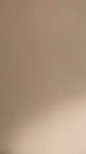 Parfum Le Labo Santal 1019 | Wangi Alami yang Cocok untuk Pria & Wanita